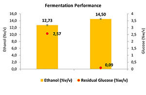 Yeast nutrition: focus on Nitrogen